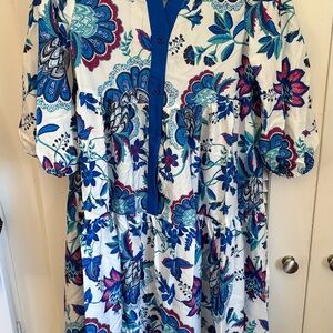 Floral Blue and White Button-Down Dress